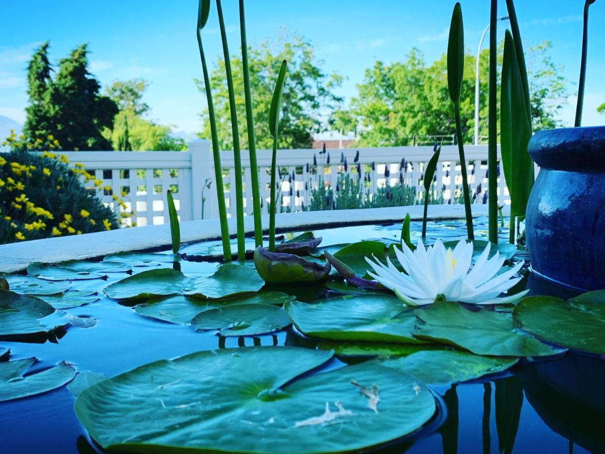 Waterstone Lodge Somerset West Kültér fotó